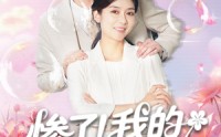 《惨了！我的实习生是老妈（64集）》超火短剧免费在线追