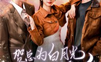 《贺总为白月光取消订婚，我不嫁了（105集）》独家短剧全集高清在线追