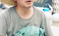 《这老大我不当了好好学习天天向上$黑道老大（72集）》热门短剧在线高清播放