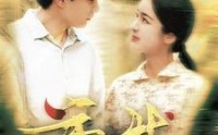 《重生2004（94集）》独家短剧全集放送