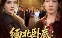 《缅北卧底：大嫂团都成我队友（71集）》刺激短剧免费在线看全集