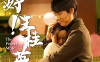 《你好！王桂英（43集）》经典短剧全集回顾