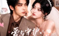《爱与守护的防线（24集）》优质短剧在线免费追