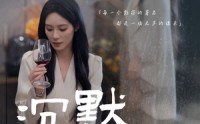 《沉默的替身（20集）》短剧精彩片段抢先观看