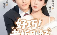 《好巧！老板刚好爱上我（72集）》热门短剧全集免费追剧