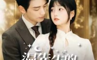 《温先生的心尖月（100集）》全集短剧流畅播放