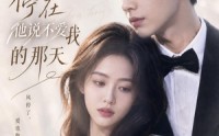 《风停在他说不爱我的那天（40集）》短剧全集免费畅享
