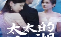 《太太的江湖（87集）》爆款短剧完整版在线看