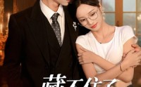 《藏不住了，苏小姐她不好惹&藏不住了苏小姐她不好惹（33集）》短剧高清全集免费观