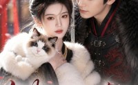 《他抬我做平妻，我转身嫁给靖王（61集）》精彩短剧在线高清观看