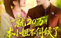 《就20万！本小姐不伺候了（60集）》免费在线短剧全集速看