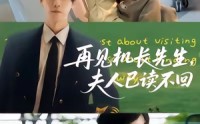 《再见机长先生夫人已读不回（62集）》爆款短剧完整版在线畅享