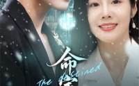 《命定之人（56集）》必看短剧在线流畅播放