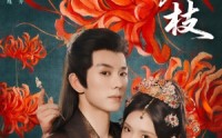 《折金枝（73集）》热门短剧全集免费播放