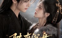 《陆有沉舟心向晚（40集）》短剧全集免费高清看