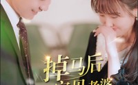 《掉马后我的宝贝老婆惊呆了》（100集）高清短剧随心看