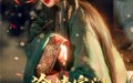 《冷情宗门你后悔了吗（71集）》精彩短剧全集免费览