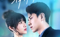 《婚情漫漫，律师前任求复合（51集）》最新短剧全集在线追剧