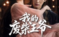《我的废柴王爷（31集）》精彩短剧无广告在线追