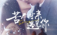 《苦尽甘来遇见你（87集）》温馨短剧全集放送