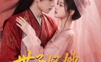 《世子妃她不是来结婚的（40集）》高人气短剧在线播放