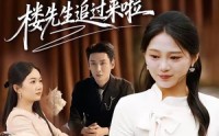 《离婚无效！楼先生追过来啦（80集）》爆款短剧无广告在线追