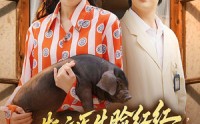 《斯文医生脸红红追着老婆哄（94集）》精彩短剧免费看全剧集