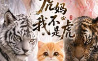 《虎妈我不是虎（38集）》热门短剧免费全集畅看