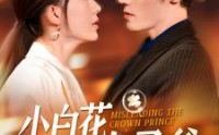 《小白花误惹太子爷（118集）》独家短剧完整呈现