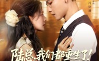 《陆总我们都重生了别离婚（79集）》短剧免费全集在线观览