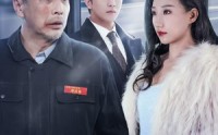 《模范司机（30集）》高清短剧在线观看