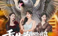 《重生为鹦鹉，我整活超级进化（70集）》免费短剧在线追不停