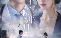 《十三年，候鸟归（40集）》精彩短剧在线高清观看