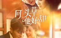 《回头草，他好甜（80集）》甜蜜短剧全集解锁