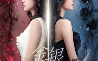 《金银双姝（80集）》高分短剧免费在线追