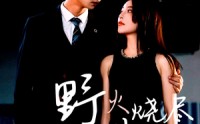 《野火烧尽芳草时（65集）》爆款短剧全集免费畅看