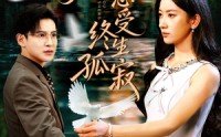 《为爱忍受终生孤寂（60集）》热门短剧全集免费播