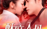 《酥麻入骨（91集）》优选短剧全集免费放送