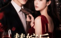 《替嫁后，成了温爷的心尖宠（81集）》高分短剧免费在线追剧