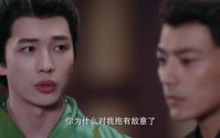 《别动！自己人（20集）》全集短剧无广告观看