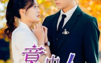 《意中人（32集）》短剧高清在线免费看