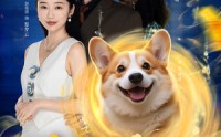 《萌犬上仙，坏男人退散指南（34集）》爆款短剧完整版在线