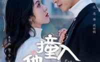 《撞入他的热恋（100集）》独家短剧完整剧情在线赏