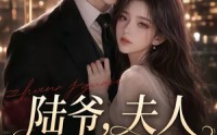 《陆爷，夫人她又在装乖（65集）》高分短剧在线免费赏