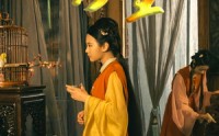 《贪生（50集）》优质短剧全集免费赏