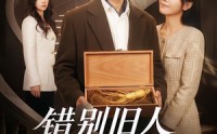 《错别旧人遇婉晴（79集）》优质短剧在线免费播