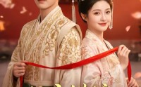 《公主错嫁：良缘终得（54集）》短剧全集免费流畅播放