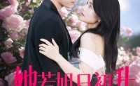 《她若旭日初升（40集）》免费短剧全集追更
