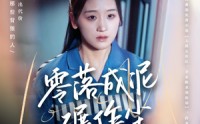 《零落成泥碾作尘（60集）》热门短剧剧情抢先看