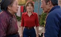 《彪婆婆娘家人，全家都是软柿子（56集）》热门短剧在线高清观看